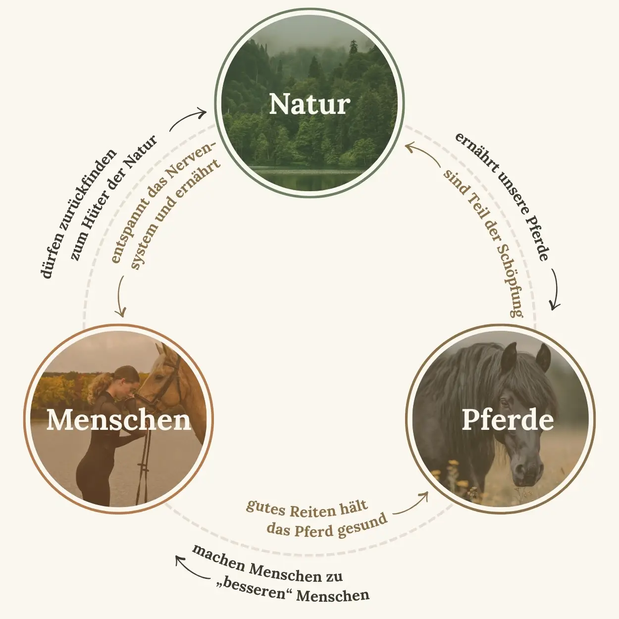 Reginenhof – Pferd und Natur in Niedersachsen