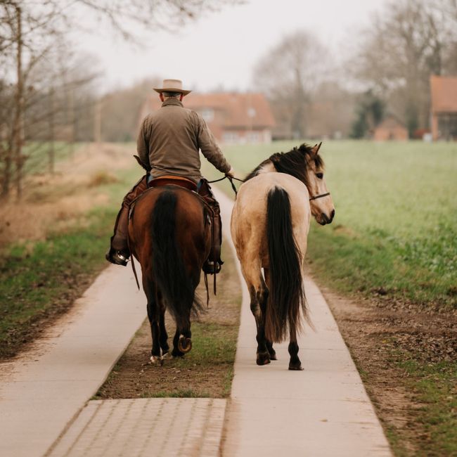 Andreas Wagner reitet mit Begleitpferd auf einem Feldweg – Western-Ausritt auf dem Reginenhof