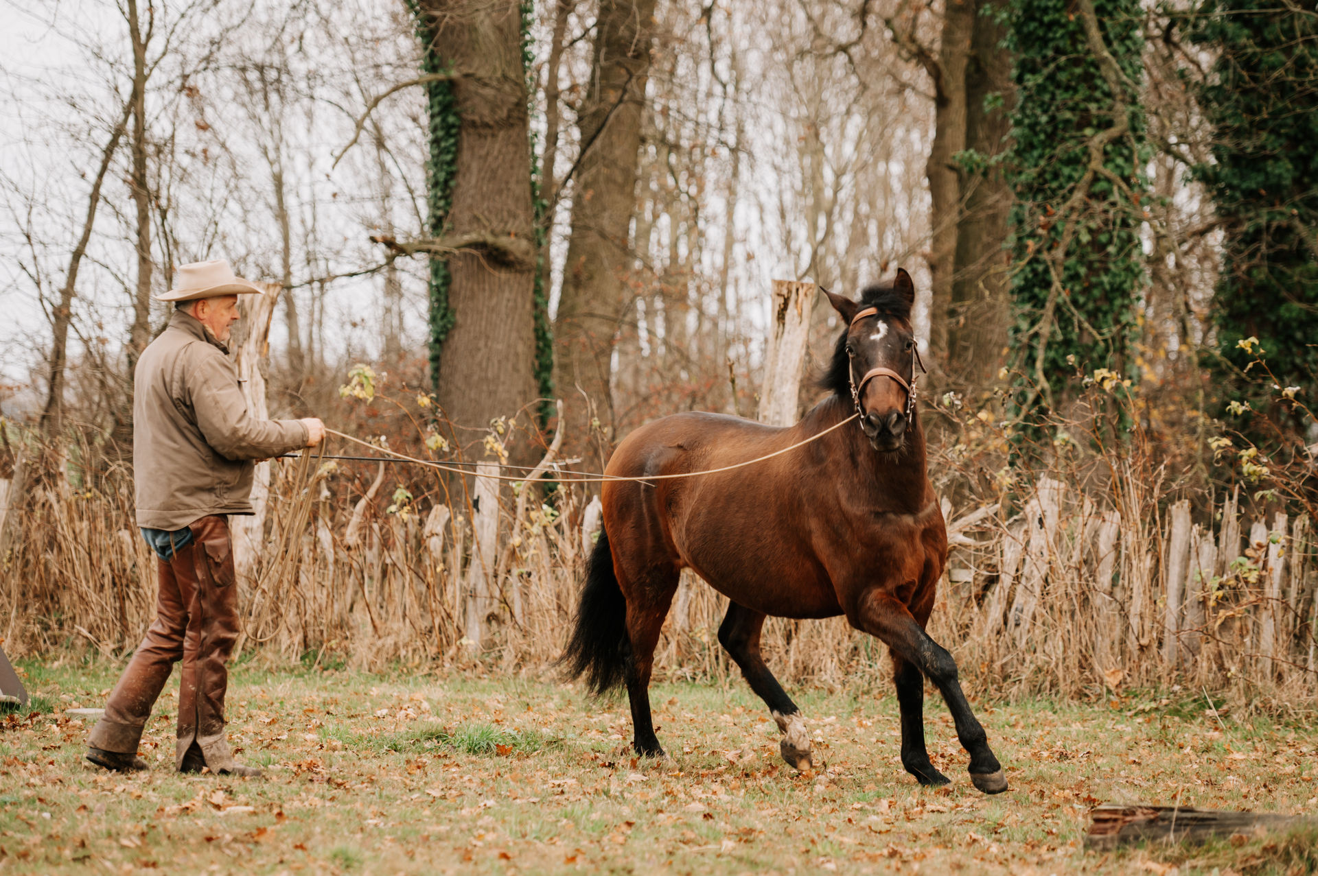 Pferdetraining an der Lunge auf dem Reginenhof – Andreas Wagner mit braunem Pferd im Herbst