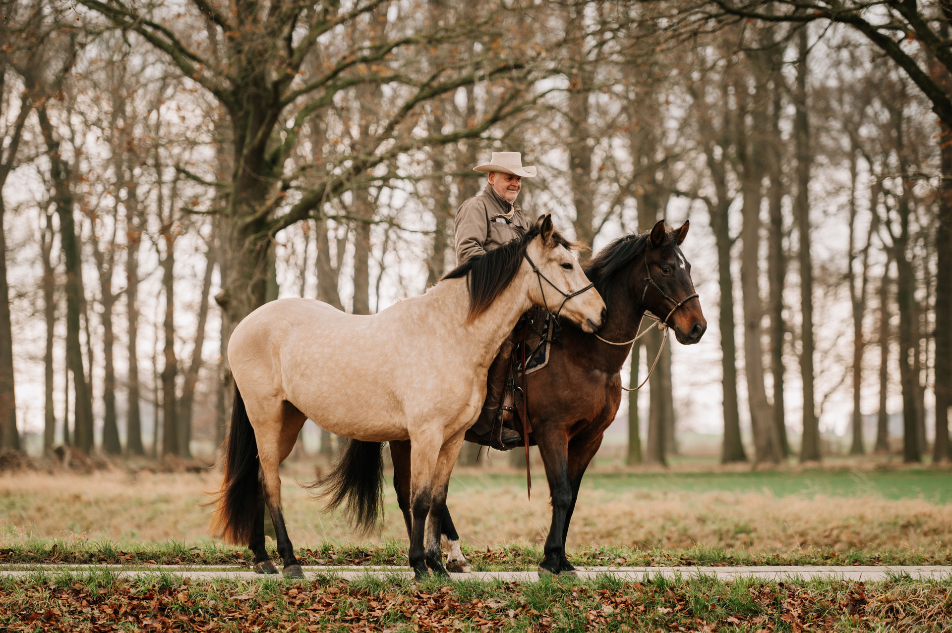 Andreas Wagner zu Pferd mit zwei Pferden auf dem Reginenhof – klassische Reitkunst in der Natur