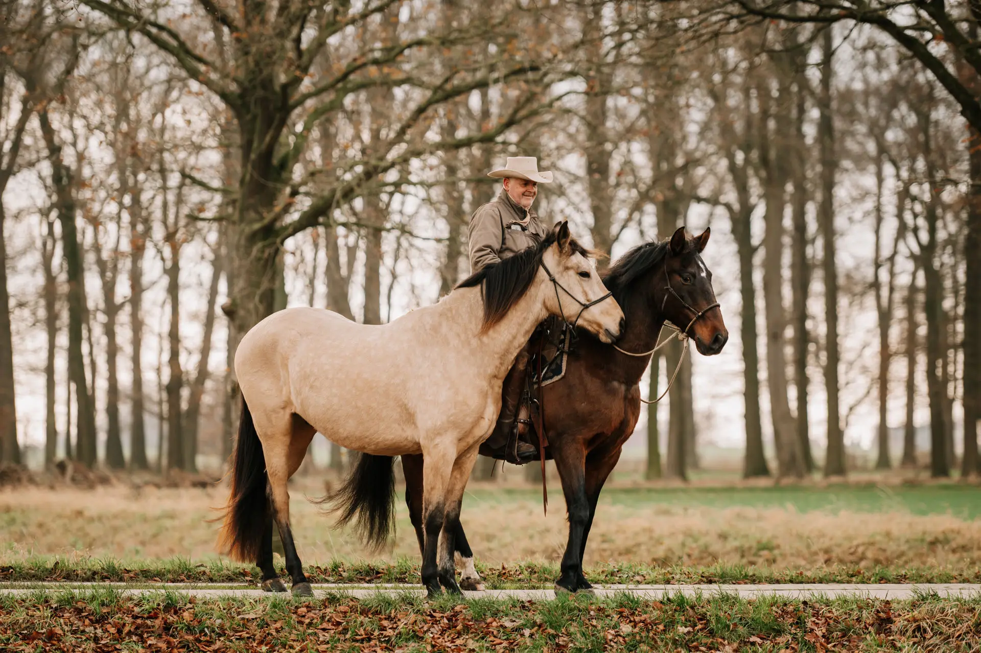 85 – DSC_9073 Andreas Wagner zu Pferd mit zwei Pferden auf dem Reginenhof – klassische Reitkunst in der Natur